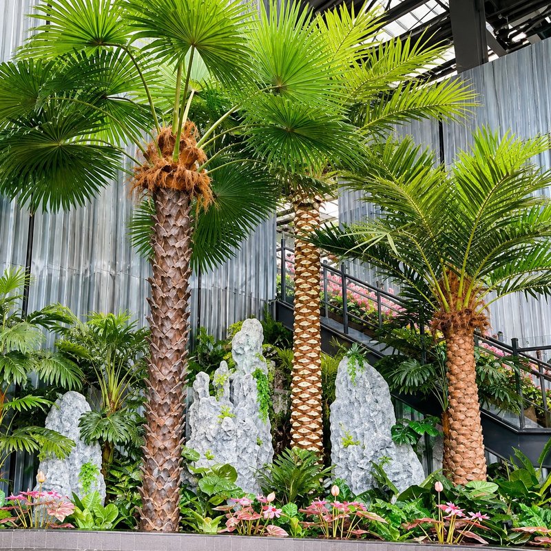 Artificial fan palms with rockery planting under a glass-roofed atrium