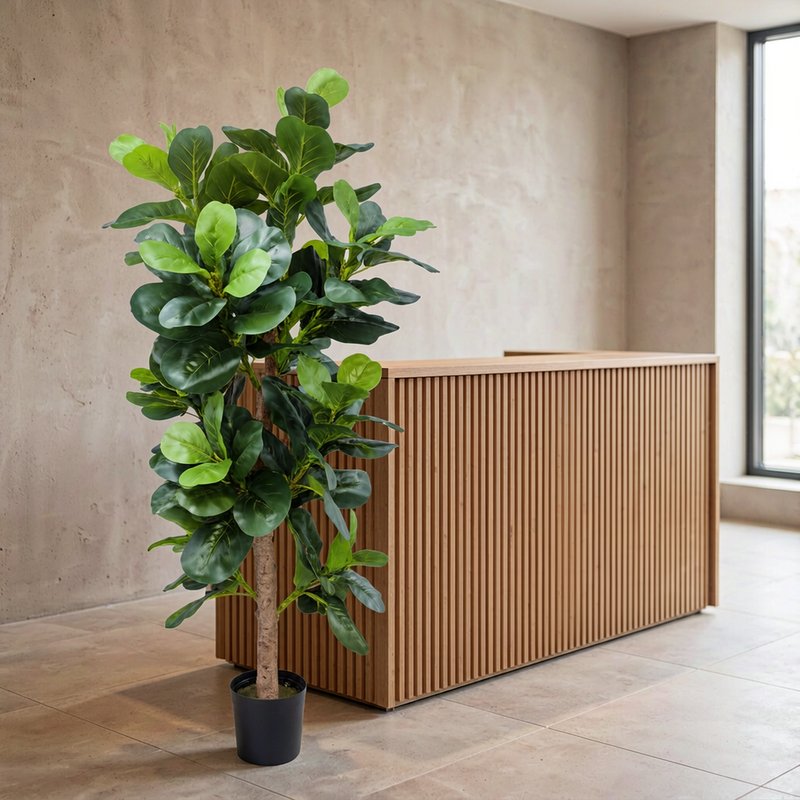 Potted artificial fiddle-leaf fig at an office reception