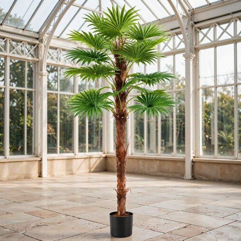 Potted artificial fan palm in a glass-roofed conservatory