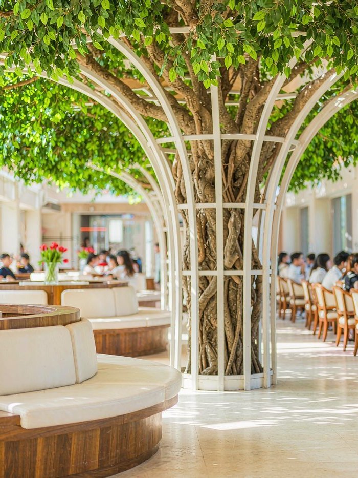 Artificial ficus canopy tree engineered for airport and mall biophilic design