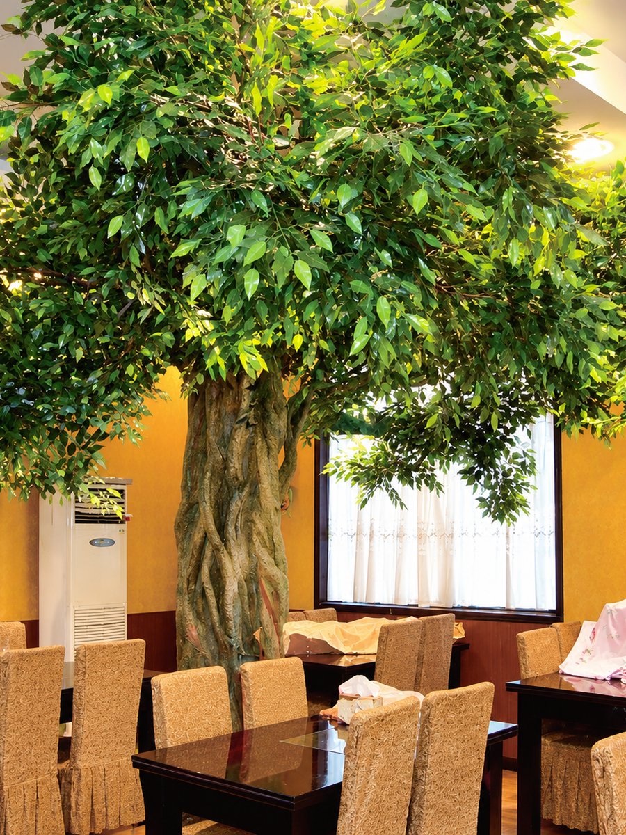 Artificial ficus feature tree over restaurant dining tables, indoor installation